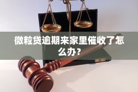 丽江企业清欠服务